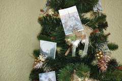 photo_2025-11-28_16-51-15