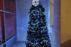 photo_2025-12-04_12-41-28