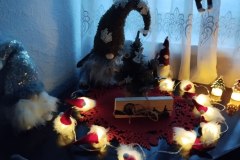 photo_2025-12-04_14-07-30-3