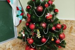 photo_2025-12-04_14-07-30-6